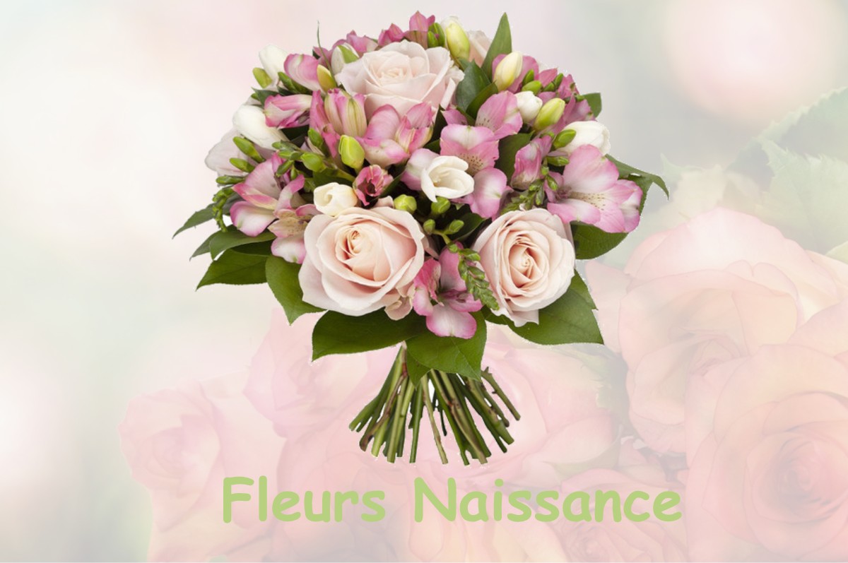 fleurs naissance BRUAY-SUR-L-ESCAUT